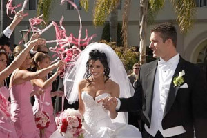 Wedding DJ Introduction