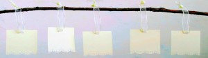 Hanging Wedding Place Cards - Albany NY DJ - Party Planning Idea