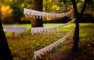 Wedding Table Place Card Clips