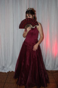 Albany NY Prom DJ fan2
