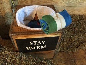 Outdoor Wedding Blanket Idea