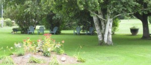 Olde Tater Barne Wedding Review